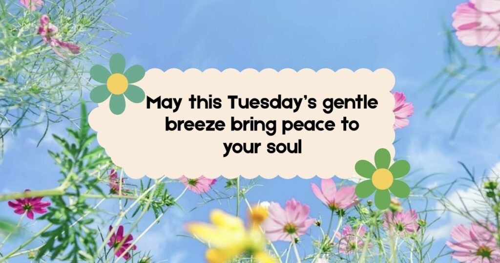 Beautiful Tuesday Blessing
