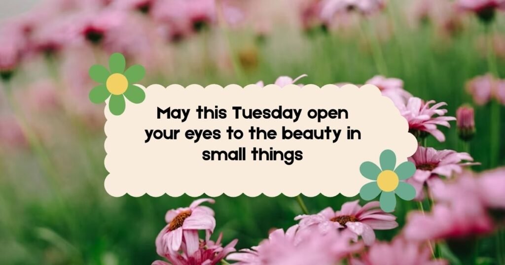 Thankful Tuesday Blessings