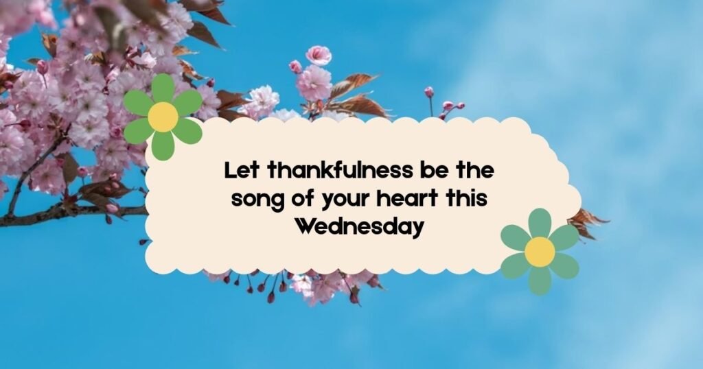 Thankful Wednesday Blessings