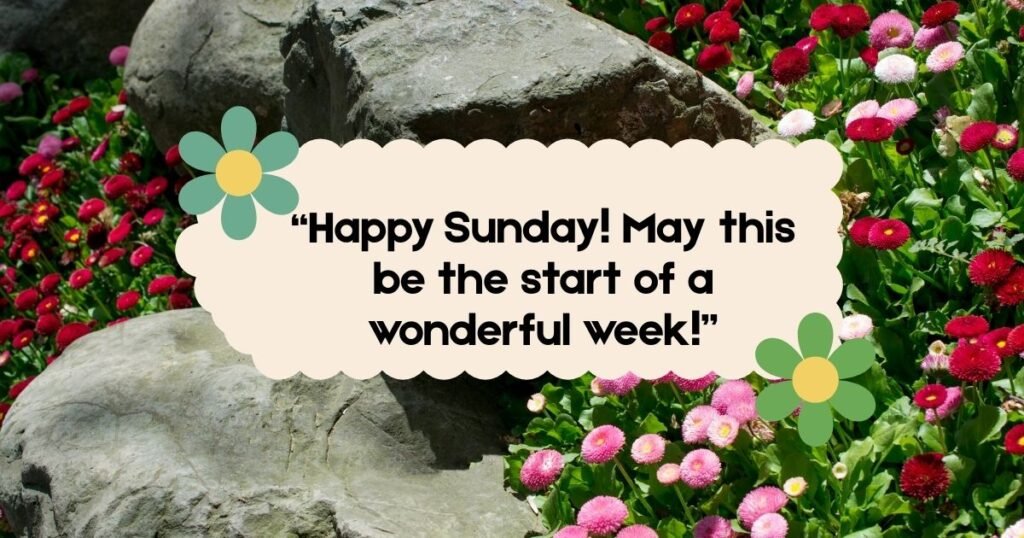 cute happy sunday quotes