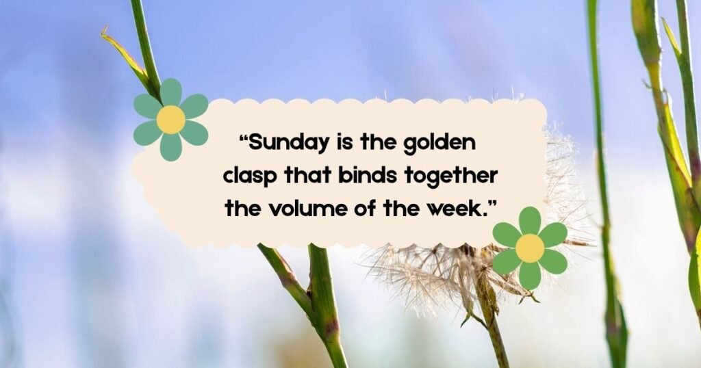 Quotes for Sunday