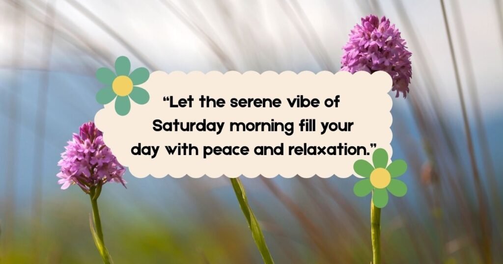 Saturday Morning Quotes