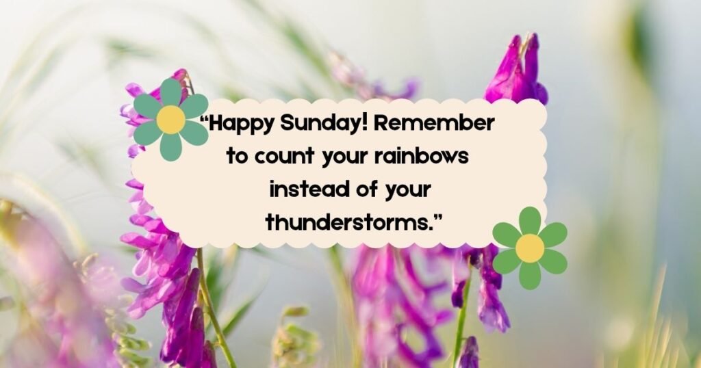 Wonderful Sunday Quotes