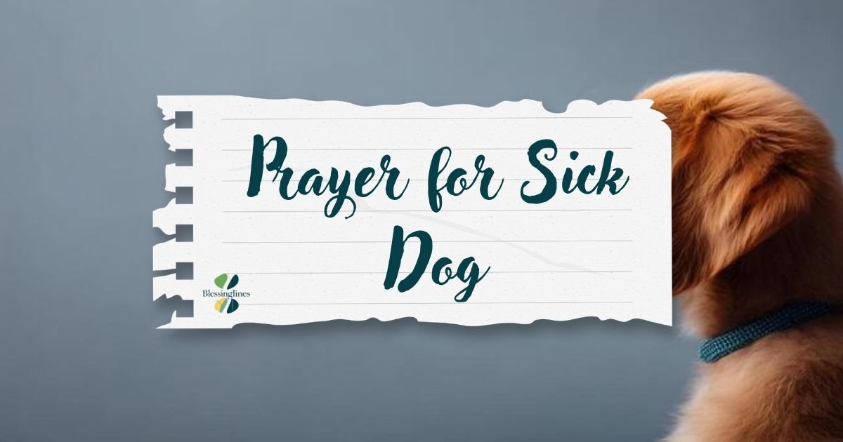 Prayer for Sick Dog
