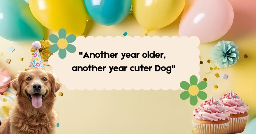 pet birthday wishes