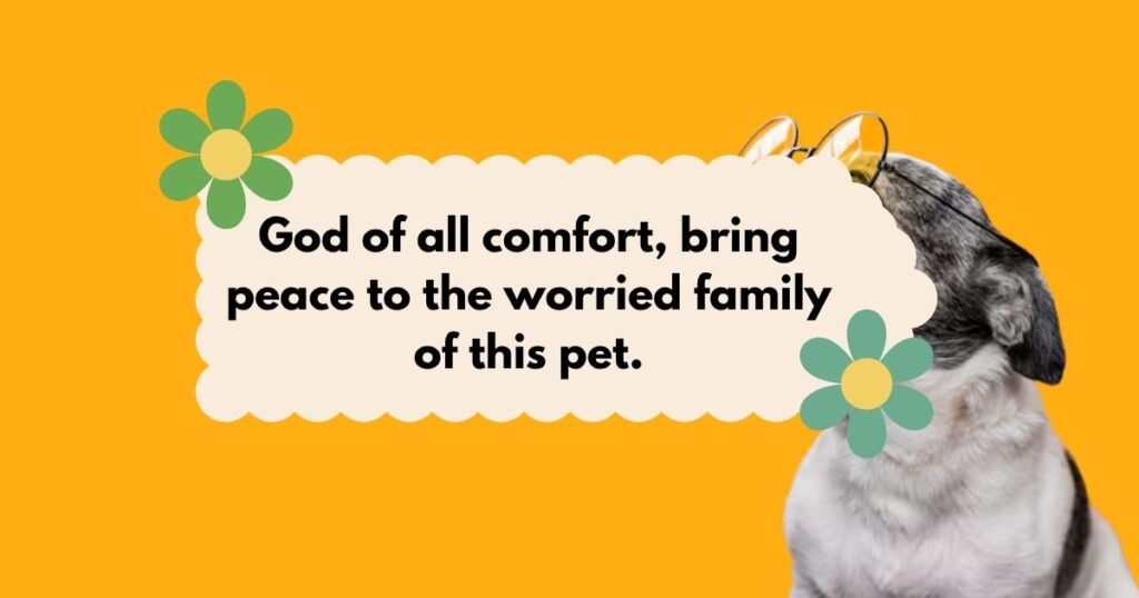 prayer for dog healing