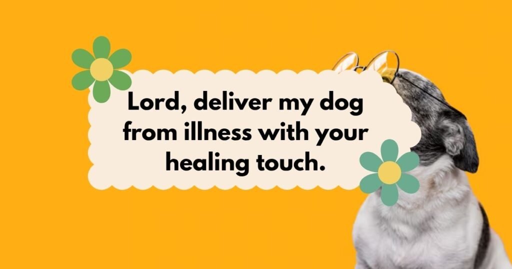 prayer for sick pet