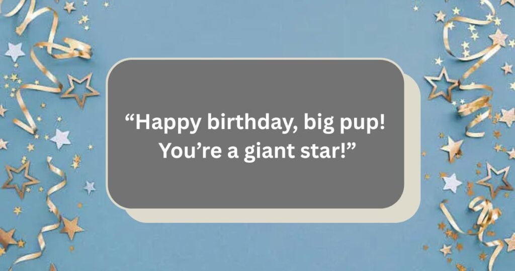 Birthday Wishes for dog