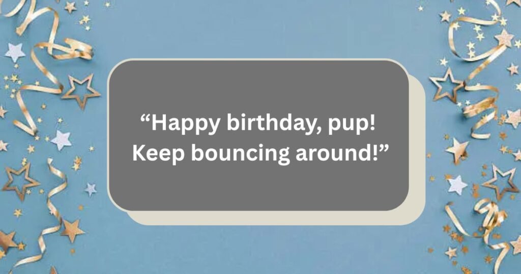 Dog Birthday Wishes
